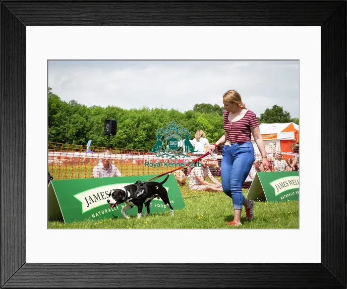 Framed Print : Scruffts Essex Hylands May 26, 2019