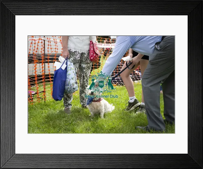 Framed Print : Scruffts Essex Hylands May 26, 2019 Framed Print : Scruffts Essex Hylands May 26, 2019