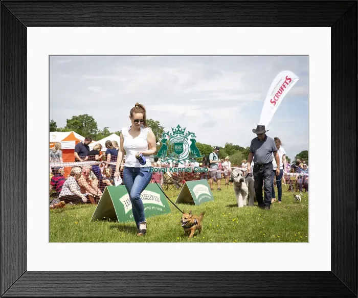 Framed Print : Scruffts Essex Hylands May 26, 2019 Framed Print : Scruffts Essex Hylands May 26, 2019