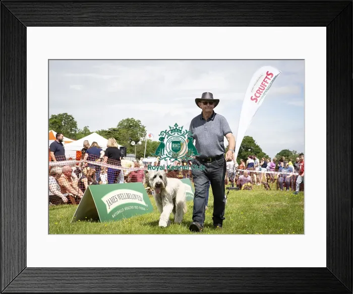 Framed Print : Scruffts Essex Hylands May 26, 2019 Framed Print : Scruffts Essex Hylands May 26, 2019