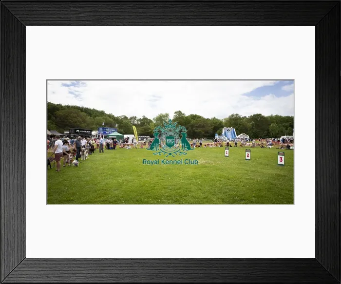 Framed Print : Scruffts Essex Hylands May 26, 2019 Framed Print : Scruffts Essex Hylands May 26, 2019