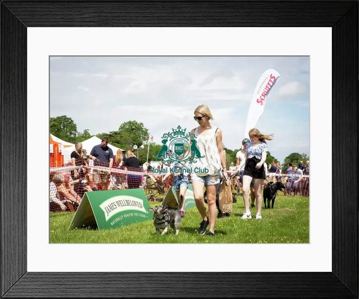 Framed Print : Scruffts Essex Hylands May 26, 2019 Framed Print : Scruffts Essex Hylands May 26, 2019