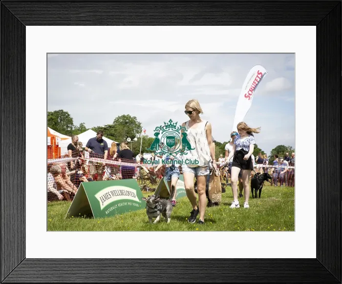 Framed Print : Scruffts Essex Hylands May 26, 2019