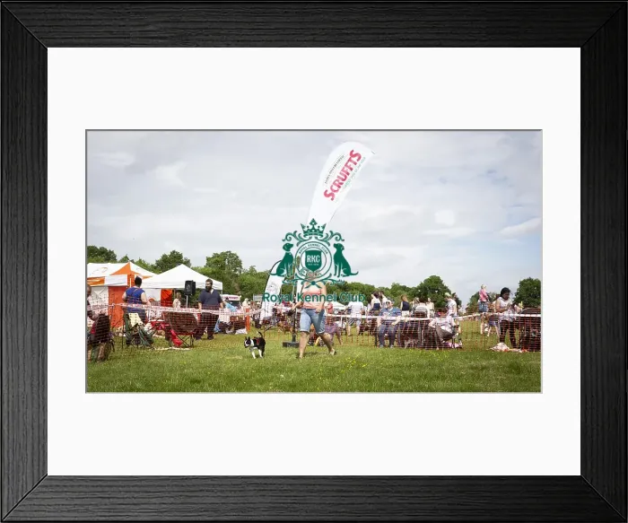 Framed Print : Scruffts Essex Hylands May 26, 2019 Framed Print : Scruffts Essex Hylands May 26, 2019