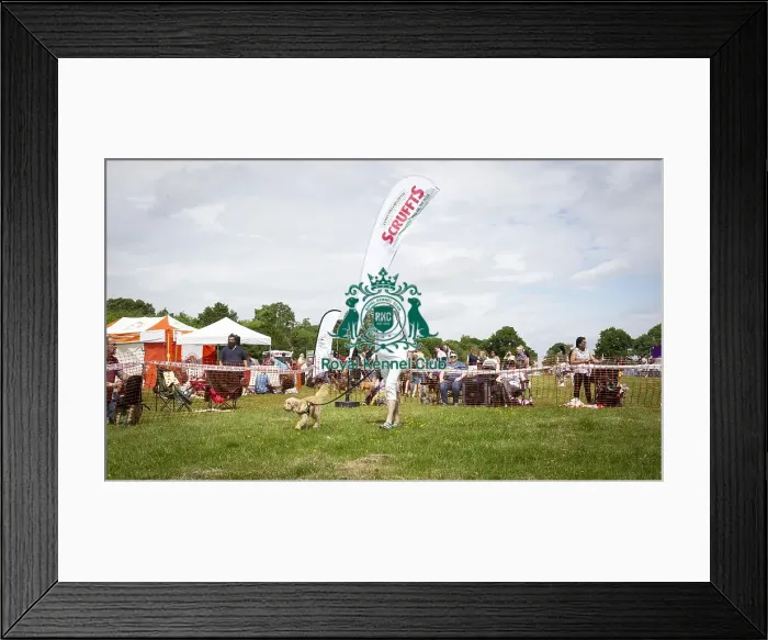 Framed Print : Scruffts Essex Hylands May 26, 2019 Framed Print : Scruffts Essex Hylands May 26, 2019