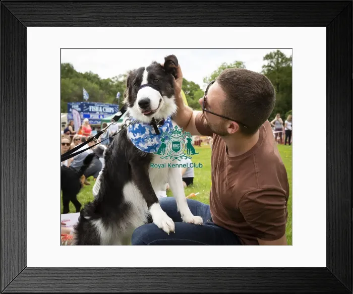 Framed Print : Scruffts Essex Chelmsford All About Dogs James Wellbeloved