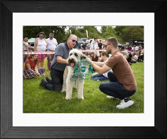 Framed Print : Scruffts Essex Hylands May 26, 2019 Framed Print : Scruffts Essex Hylands May 26, 2019