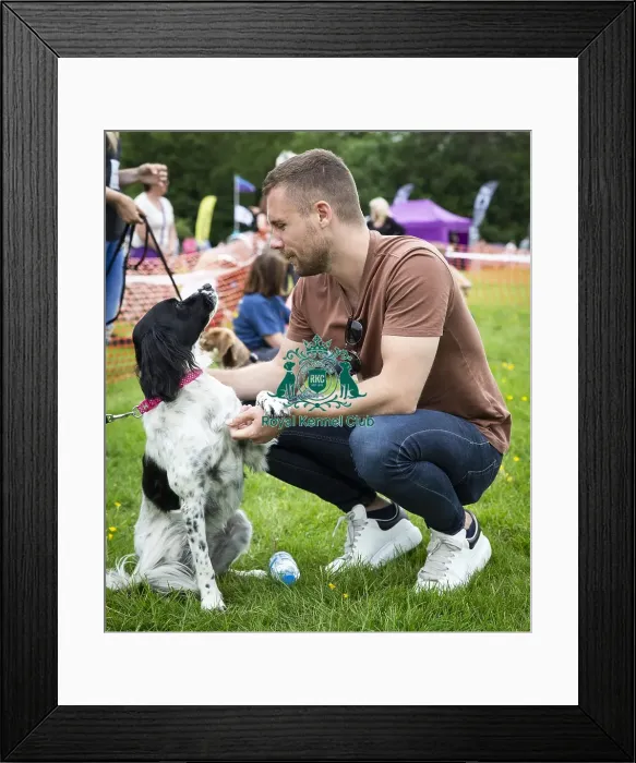 Framed Print : Scruffts Essex Hylands May 26, 2019 Framed Print : Scruffts Essex Hylands May 26, 2019