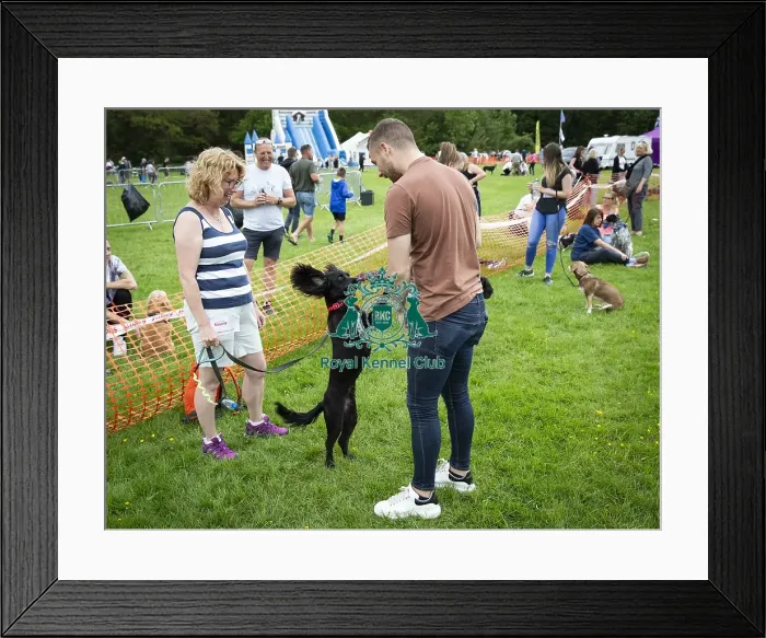 Framed Print : Scruffts Essex Hylands May 26, 2019