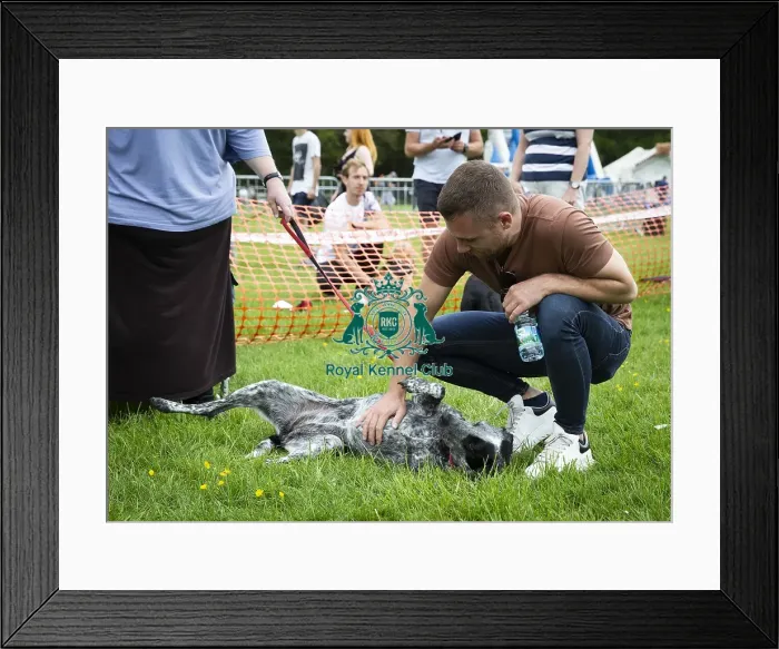 Framed Print : Scruffts Essex Hylands May 26, 2019 Framed Print : Scruffts Essex Hylands May 26, 2019