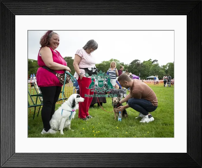Framed Print : Scruffts Essex Hylands May 26, 2019 Framed Print : Scruffts Essex Hylands May 26, 2019