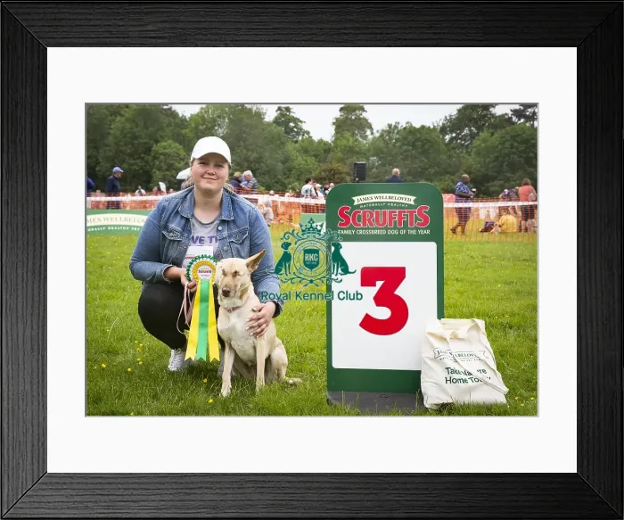 Framed Print : Scruffts Essex Hylands May 26, 2019 Framed Print : Scruffts Essex Hylands May 26, 2019