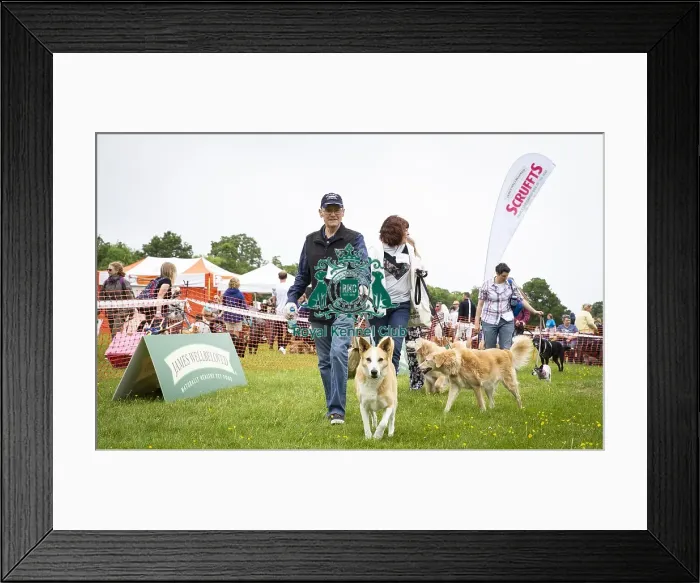 Framed Print : Scruffts Essex Hylands May 26, 2019