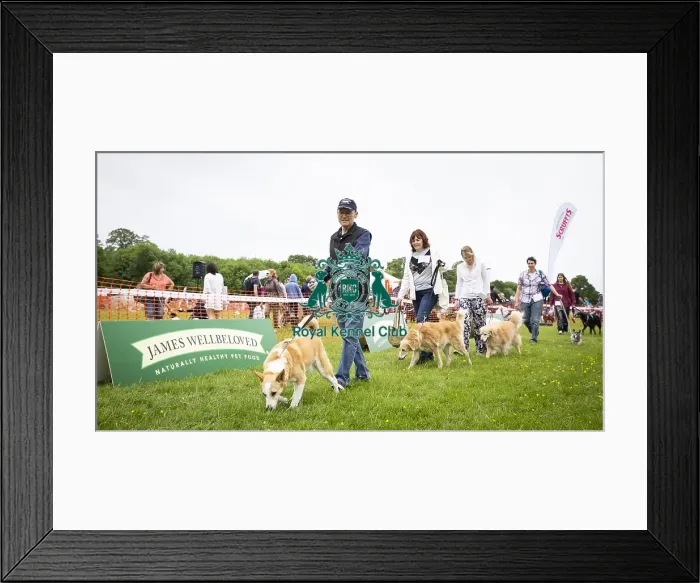 Framed Print : Scruffts Essex Hylands May 26, 2019 Framed Print : Scruffts Essex Hylands May 26, 2019