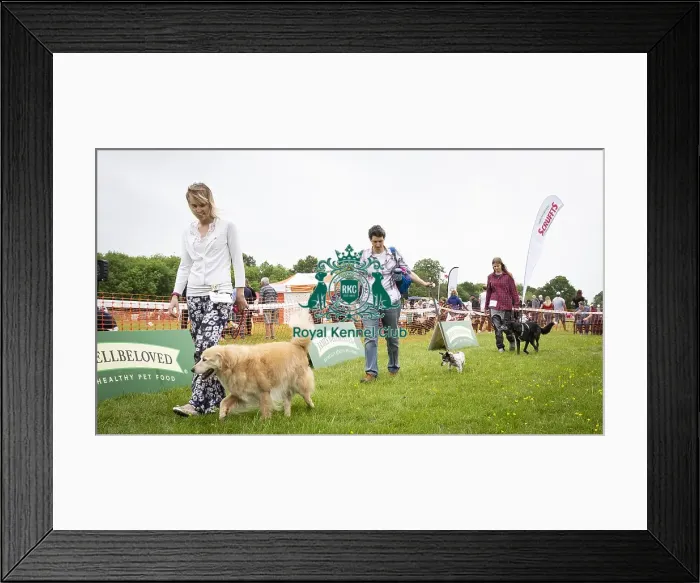 Framed Print : Scruffts Essex Hylands May 26, 2019 Framed Print : Scruffts Essex Hylands May 26, 2019