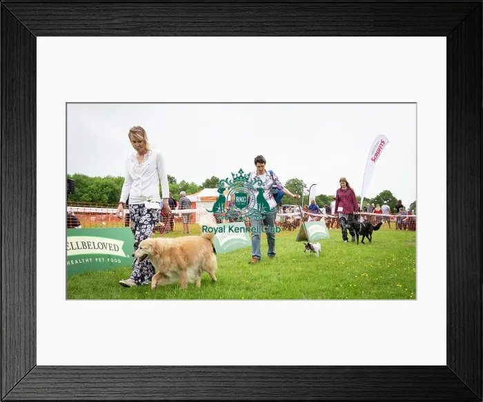 Framed Print : Scruffts Essex Hylands May 26, 2019 Framed Print : Scruffts Essex Hylands May 26, 2019