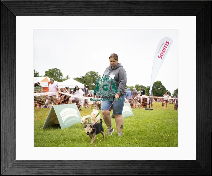 Framed Print : Scruffts Essex Hylands May 26, 2019
