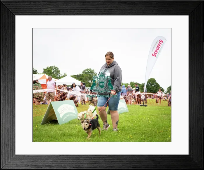 Framed Print : Scruffts Essex Hylands May 26, 2019 Framed Print : Scruffts Essex Hylands May 26, 2019