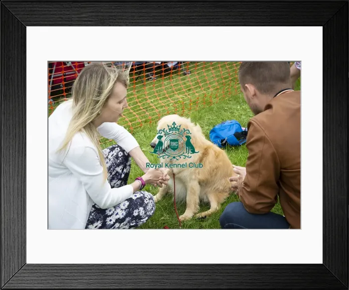 Framed Print : Scruffts Essex Hylands May 26, 2019 Framed Print : Scruffts Essex Hylands May 26, 2019