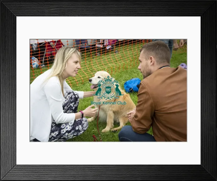 Framed Print : Scruffts Essex Hylands May 26, 2019 Framed Print : Scruffts Essex Hylands May 26, 2019