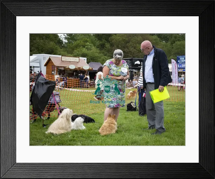 Framed Print : Scruffts Essex Hylands May 26, 2019 Framed Print : Scruffts Essex Hylands May 26, 2019