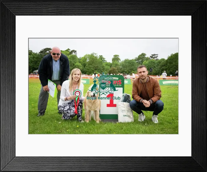 Framed Print : Scruffts Essex Hylands May 26, 2019 Framed Print : Scruffts Essex Hylands May 26, 2019