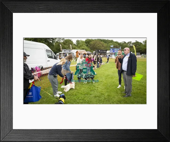 Framed Print : Scruffts Essex Hylands May 26, 2019 Framed Print : Scruffts Essex Hylands May 26, 2019