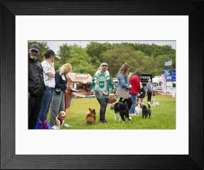 Framed Print : Scruffts Essex Hylands May 26, 2019 Framed Print : Scruffts Essex Hylands May 26, 2019