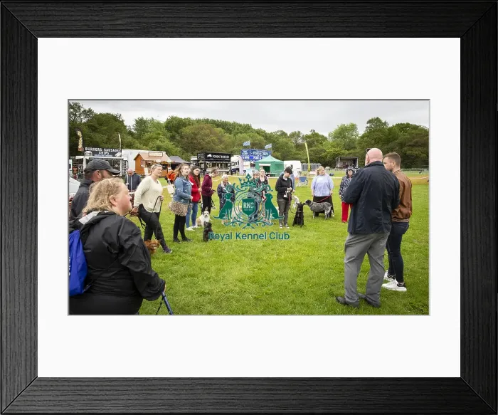 Framed Print : Scruffts Essex Chelmsford All About Dogs James Wellbeloved