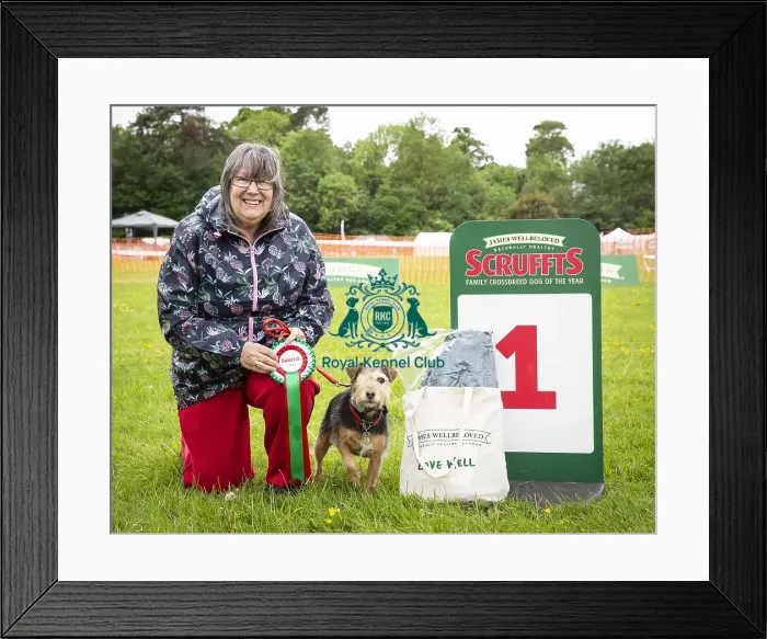 Framed Print : Scruffts Essex Chelmsford All About Dogs James Wellbeloved Framed Print : Scruffts Essex Chelmsford All About Dogs James Wellbeloved