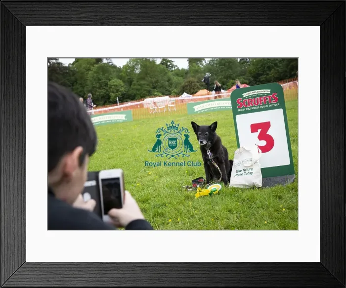 Framed Print : Scruffts Essex Hylands May 26, 2019