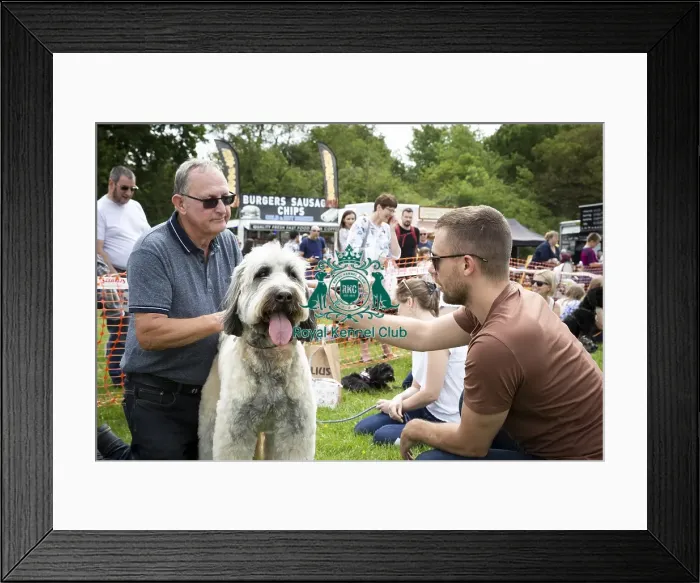 Framed Print : Scruffts Essex Hylands May 26, 2019 Framed Print : Scruffts Essex Hylands May 26, 2019