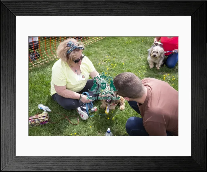 Framed Print : Scruffts Essex Hylands May 26, 2019 Framed Print : Scruffts Essex Hylands May 26, 2019