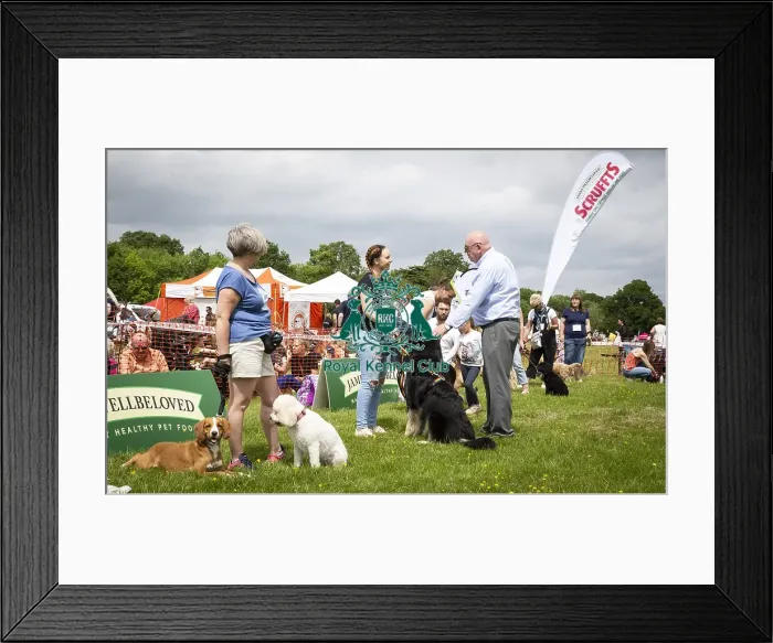 Framed Print : Scruffts Essex Hylands May 26, 2019 Framed Print : Scruffts Essex Hylands May 26, 2019