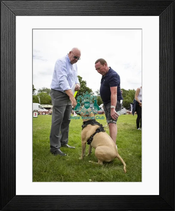 Framed Print : Scruffts Essex Hylands May 26, 2019