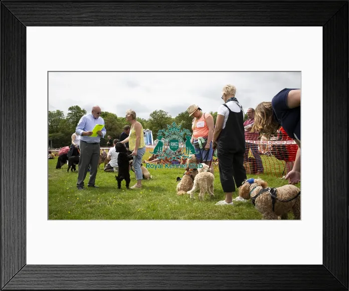 Framed Print : Scruffts Essex Hylands May 26, 2019 Framed Print : Scruffts Essex Hylands May 26, 2019