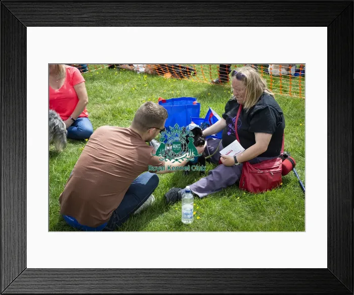 Framed Print : Scruffts Essex Hylands May 26, 2019 Framed Print : Scruffts Essex Hylands May 26, 2019