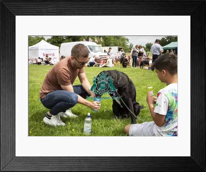 Framed Print : Scruffts Essex Hylands May 26, 2019 Framed Print : Scruffts Essex Hylands May 26, 2019