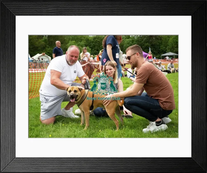 Framed Print : Scruffts Essex Hylands May 26, 2019 Framed Print : Scruffts Essex Hylands May 26, 2019