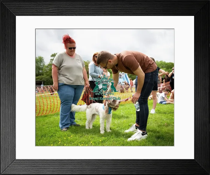 Framed Print : Scruffts Essex Hylands May 26, 2019 Framed Print : Scruffts Essex Hylands May 26, 2019
