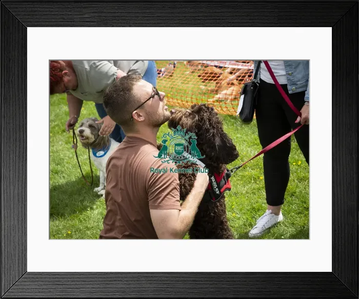 Framed Print : Scruffts Essex Hylands May 26, 2019 Framed Print : Scruffts Essex Hylands May 26, 2019