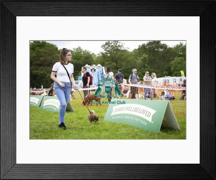 Framed Print : Scruffts Essex Hylands May 26, 2019 Framed Print : Scruffts Essex Hylands May 26, 2019