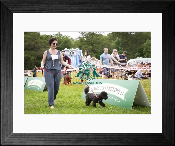Framed Print : Scruffts Essex Hylands May 26, 2019 Framed Print : Scruffts Essex Hylands May 26, 2019