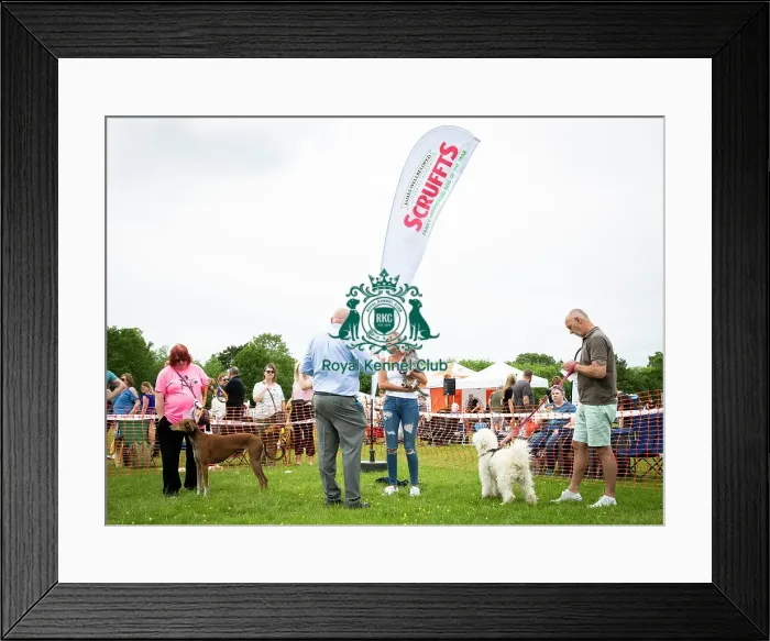 Framed Print : Scruffts Essex Hylands May 26, 2019 Framed Print : Scruffts Essex Hylands May 26, 2019