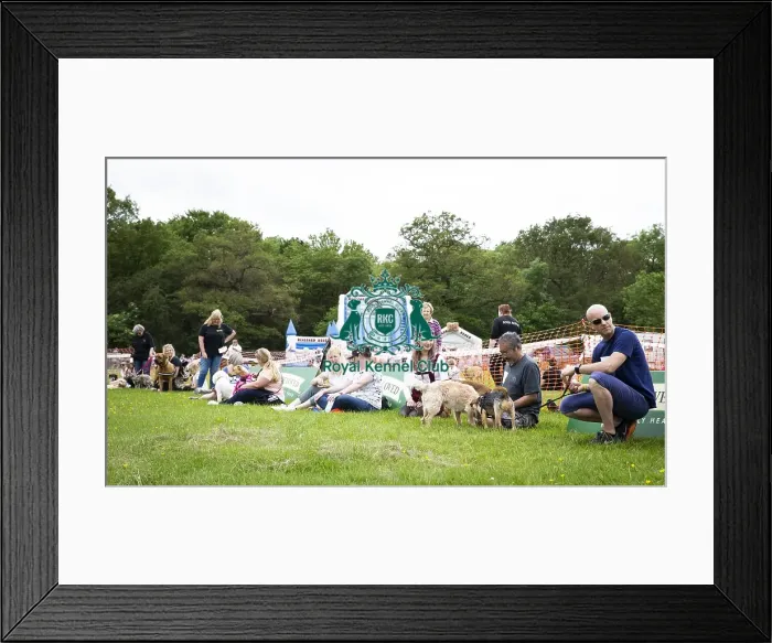 Framed Print : Scruffts Essex Hylands May 26, 2019 Framed Print : Scruffts Essex Hylands May 26, 2019