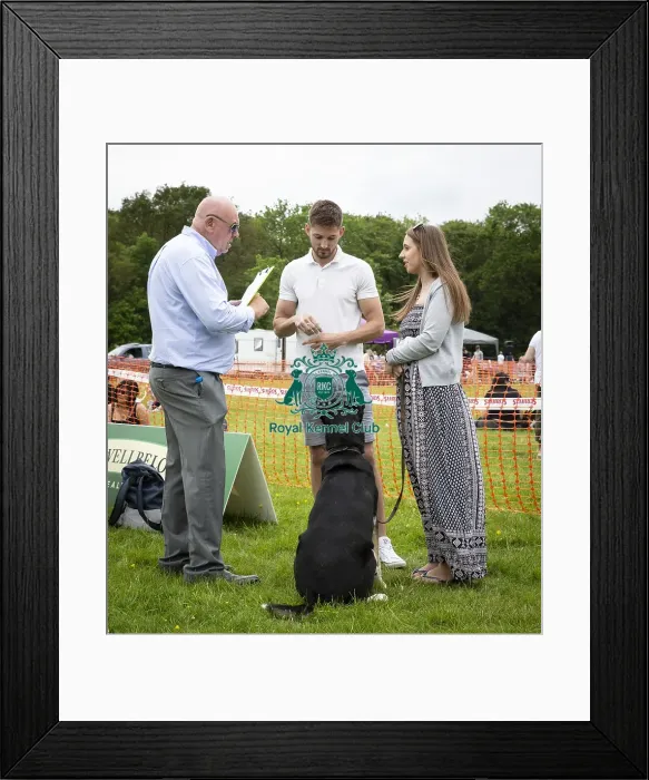 Framed Print : Scruffts Essex Hylands May 26, 2019 Framed Print : Scruffts Essex Hylands May 26, 2019