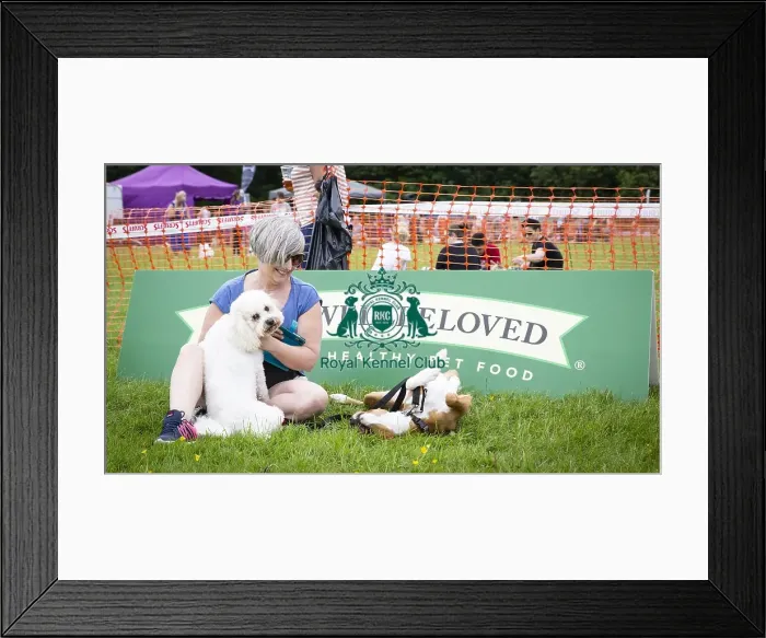 Framed Print : Scruffts Essex Hylands May 26, 2019 Framed Print : Scruffts Essex Hylands May 26, 2019