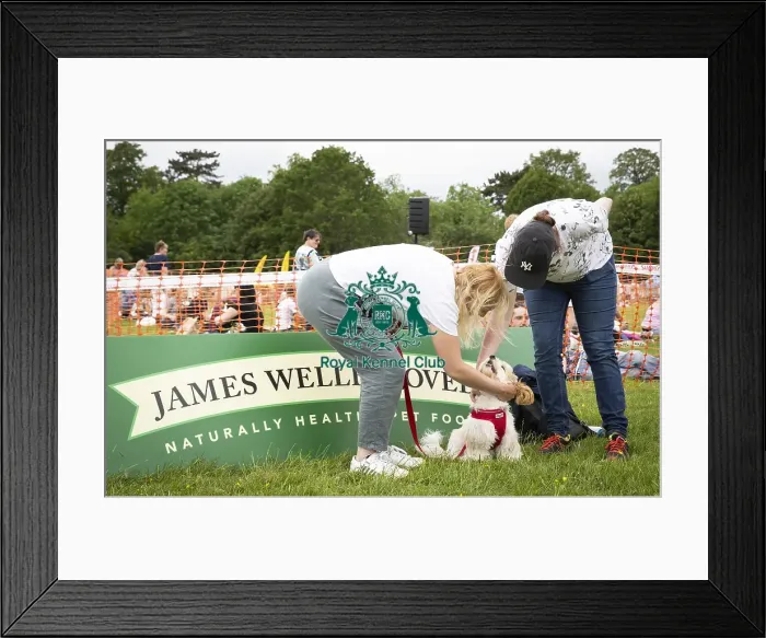 Framed Print : Scruffts Essex Hylands May 26, 2019 Framed Print : Scruffts Essex Hylands May 26, 2019