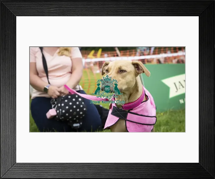 Framed Print : Scruffts Essex Hylands May 26, 2019 Framed Print : Scruffts Essex Hylands May 26, 2019