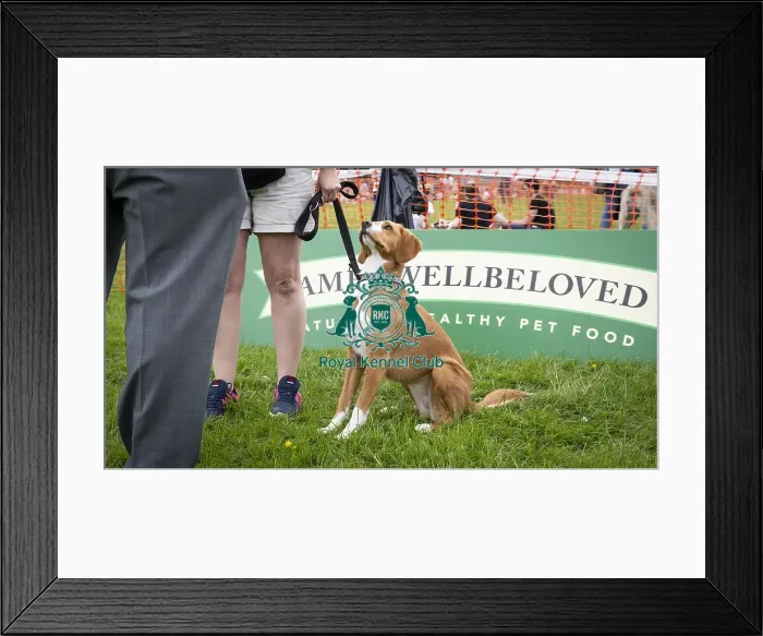 Framed Print : Scruffts Essex Hylands May 26, 2019 Framed Print : Scruffts Essex Hylands May 26, 2019
